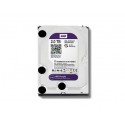 Hard Drives 